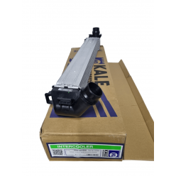 Turbo Radyatörü Fluence Megane III Megane 3