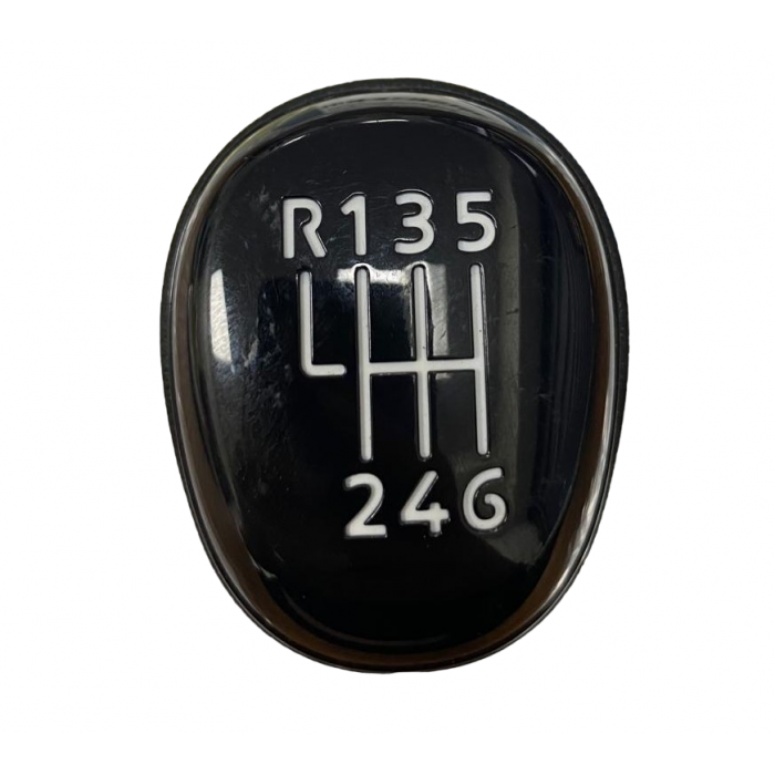 Vites Topuzu 6 İleri Megane IV Orjinal